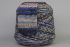 Носочная пряжа Calzetteria Fantasy 6-PLY, цв.309