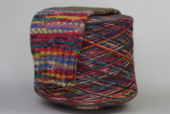 Носочная пряжа Calzetteria Fantasy 6-PLY, цв.308