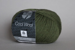 Cool Wool, цв.2042