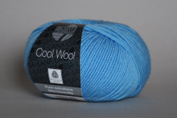 Cool Wool, цв.2031