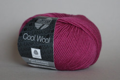 Cool Wool, цв.2044