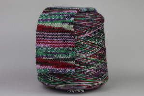Носочная пряжа Calzetteria Fantasy 6-PLY, цв.307